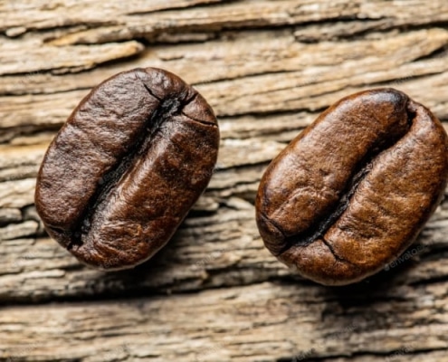 Café arabica ou robusta