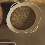 café du costa rica