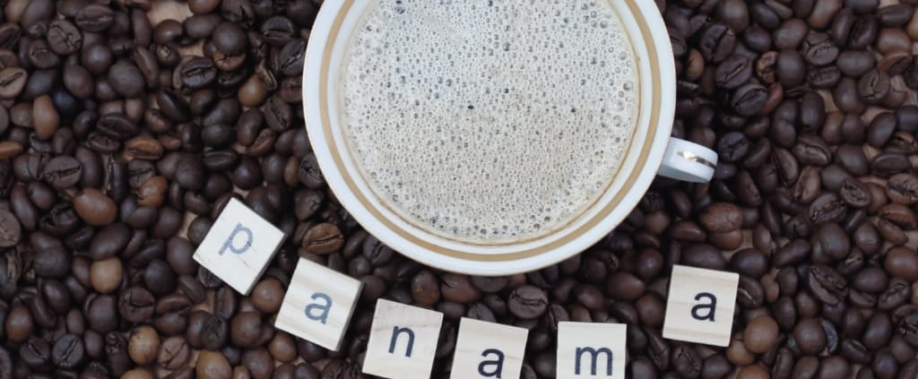 Café Geisha du Panama : le meilleur café du monde ?