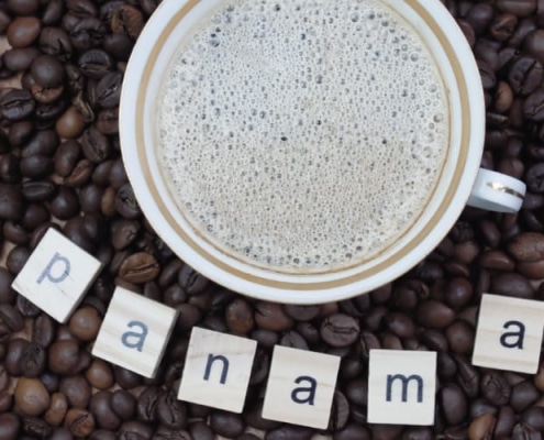 Café Geisha du Panama : le meilleur café du monde ?