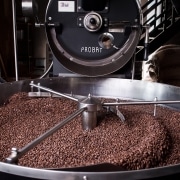 pexels-hannoversche-kaffeemanufaktur-12088958 la torréfaction du café