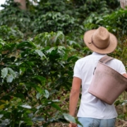 le café colombien