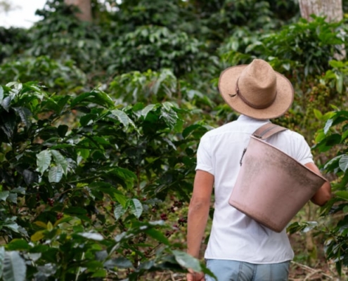 le café colombien
