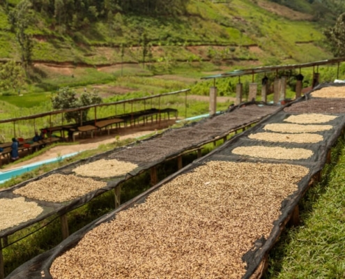 le café du Rwanda