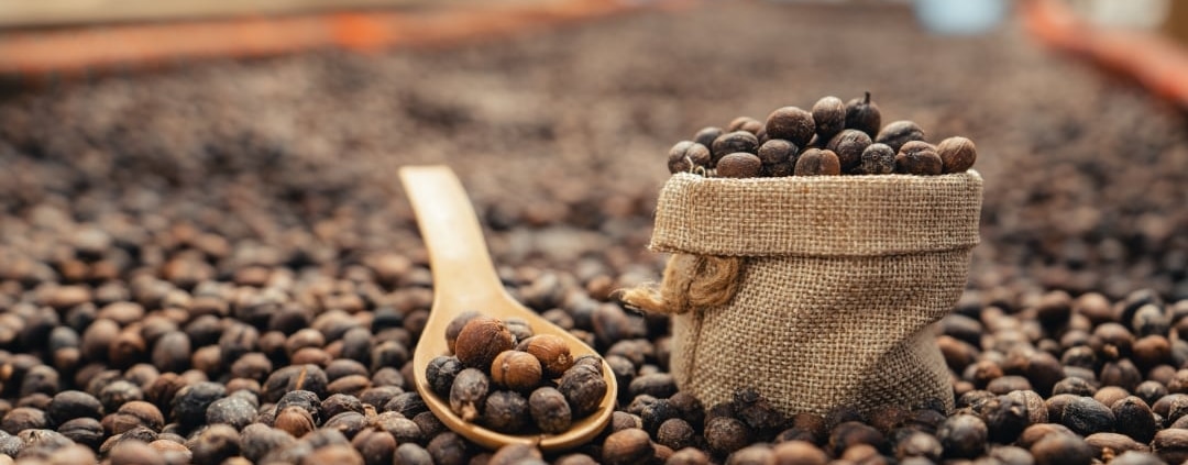 le café typica