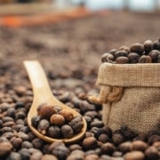 le-cafe-typica le café typica