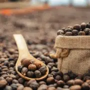 le café typica