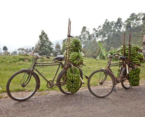 café du burundi