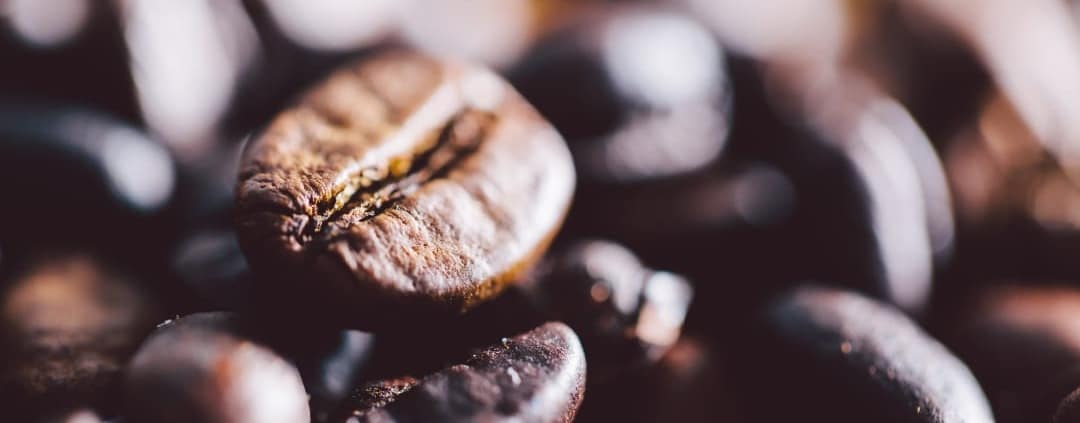 Café robusta