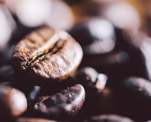 Café robusta