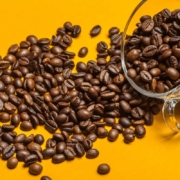 cafe caturra le café Caturra