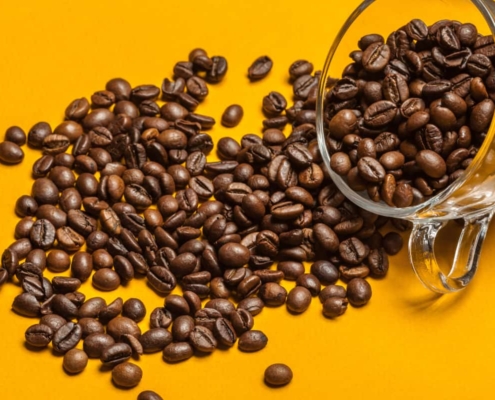 le café Caturra