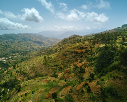 Le café d'Haïti