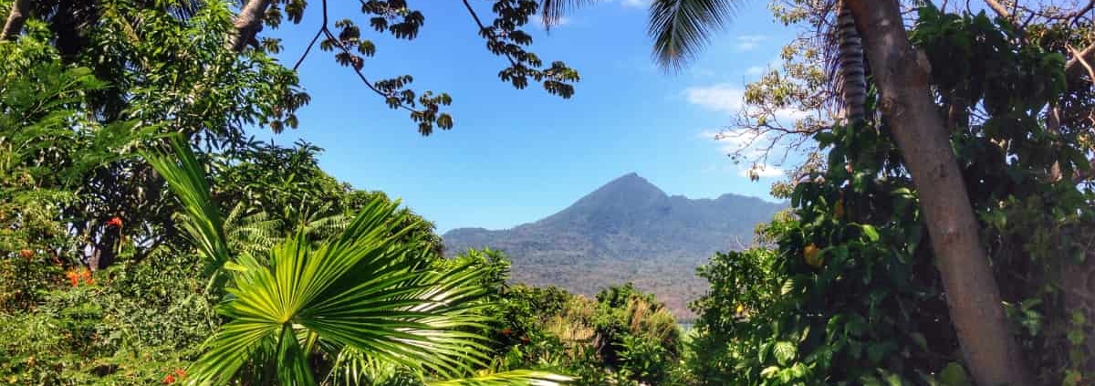le café du Nicaragua