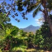 le café du Nicaragua