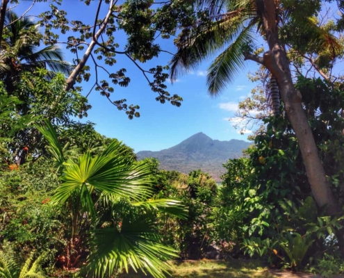 le café du Nicaragua
