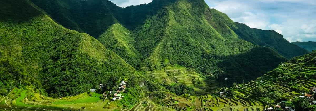 le café des Philippines