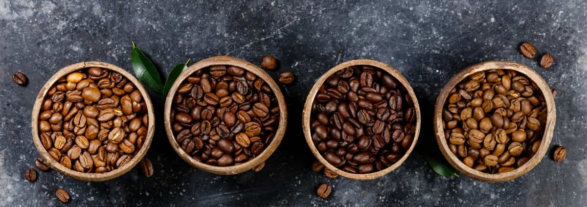 le café Mundo Novo
