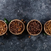le café Mundo Novo