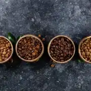 cafe mundo novo le café Mundo Novo