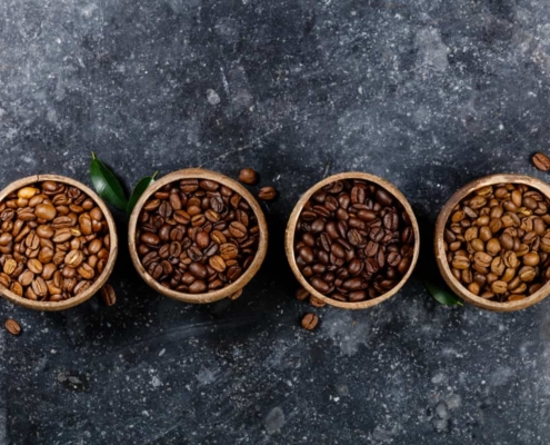 le café Mundo Novo