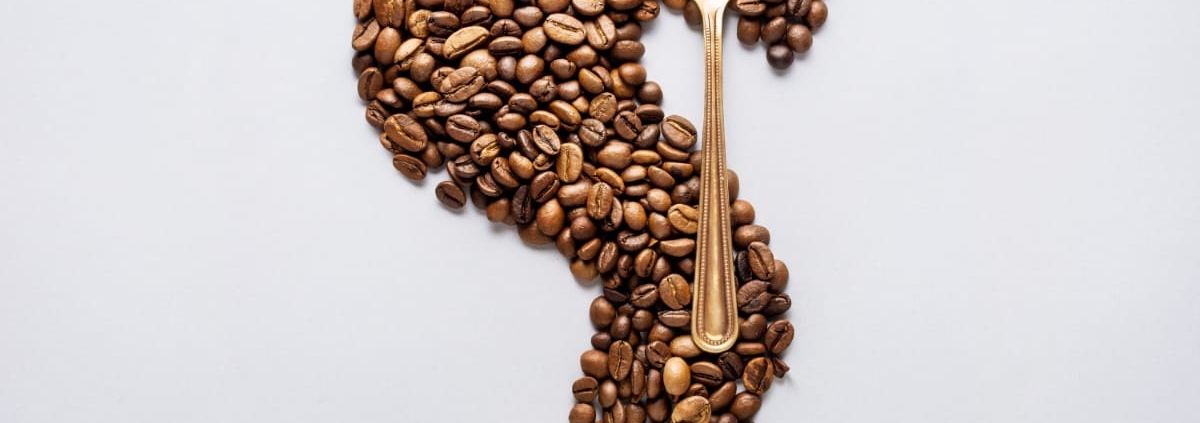 la différence entre une cuillère à Moka et une cuillère à café