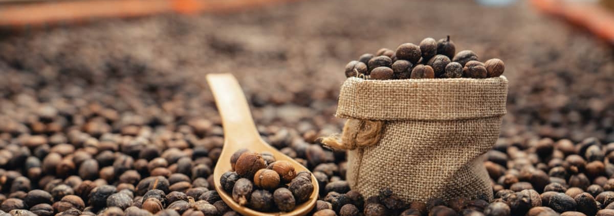 café en grain pas cher