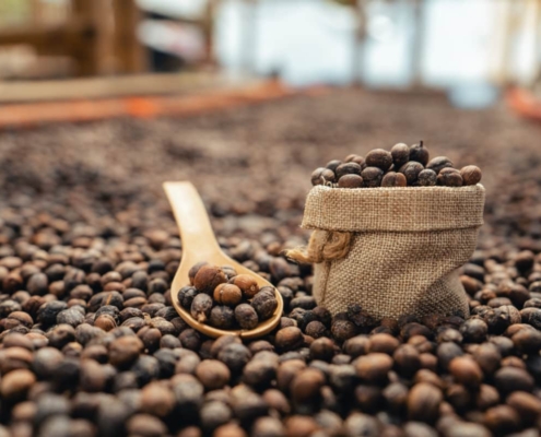 café en grain pas cher