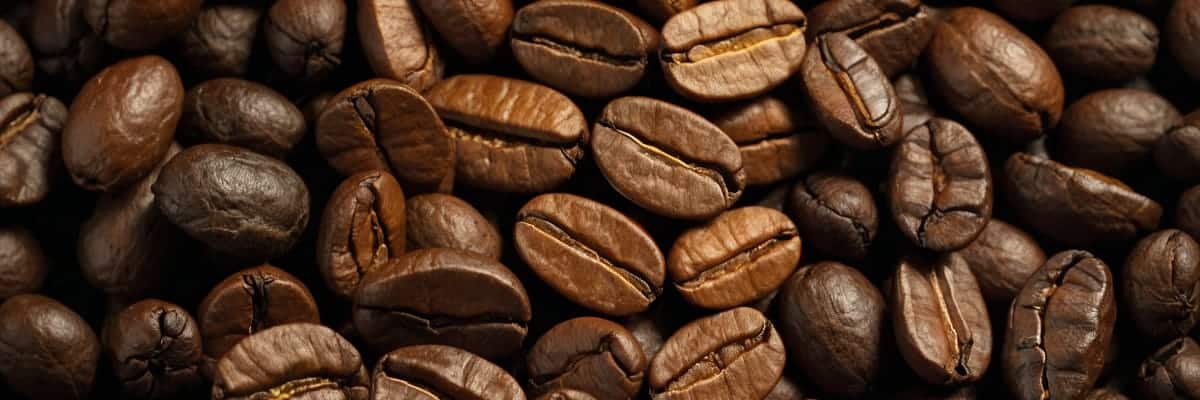 Quelle mouture de café pour une cafetière à piston ?