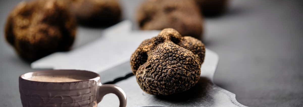 harmonies entre le café et la truffe