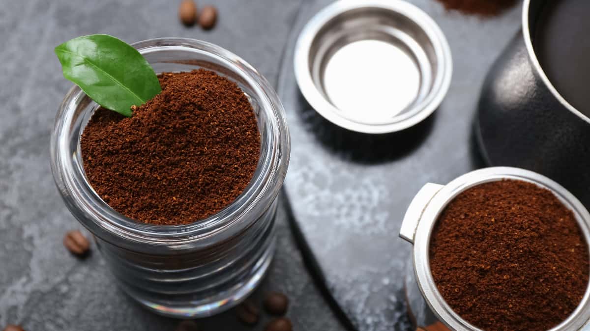 Café moulu Meo tamisé dans un récipient, prêt pour la préparation Café moulu Meo tamisé - 1 Café SVP