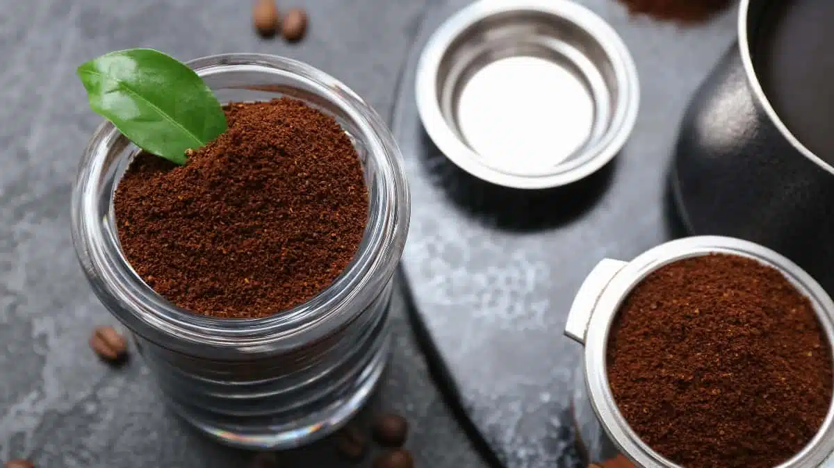 Café moulu Meo tamisé dans un récipient, prêt pour la préparation Café moulu Meo tamisé - 1 Café SVP
