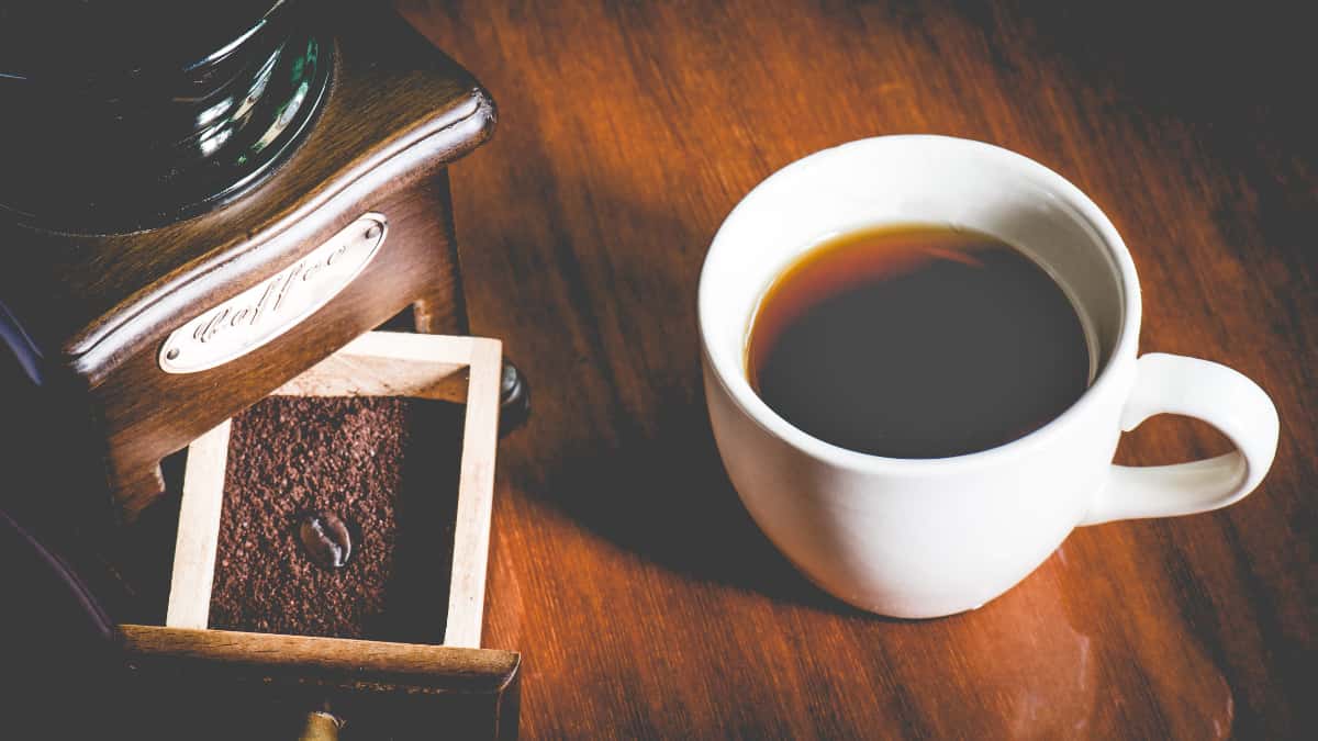 Café moulu Meo servi dans une tasse, prêt à être dégusté Tasse de café moulu Meo - 1 Café SVP