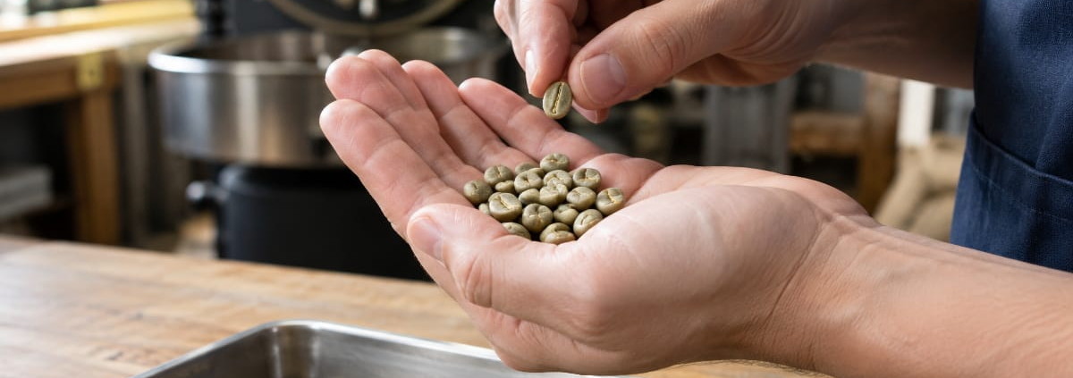 Ochratoxine dans le café : dangers, origines et contrôles